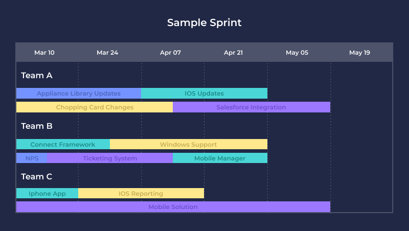 sample roadmap