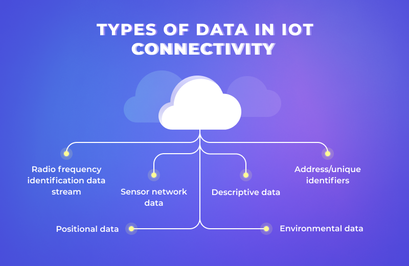 Types of data in IoT connectivity